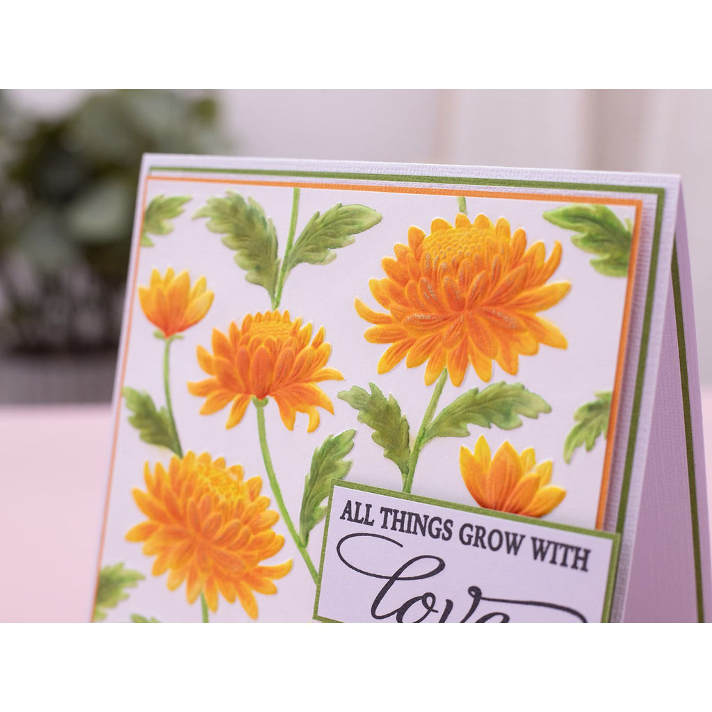 Crafter's Companion Chrysanthemums 3D Embossing Folder cc-3d-ef5.5-chch All Things Grow With Love Card