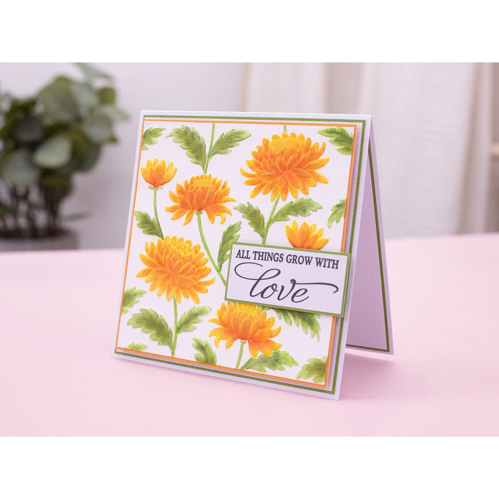 Crafter's Companion Chrysanthemums 3D Embossing Folder cc-3d-ef5.5-chch Floral Grow With Love Card