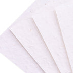 Crafter's Companion Flower Press 5 x 7 Handmade Paper Pack cc-hand-pap5x7 Product Image
