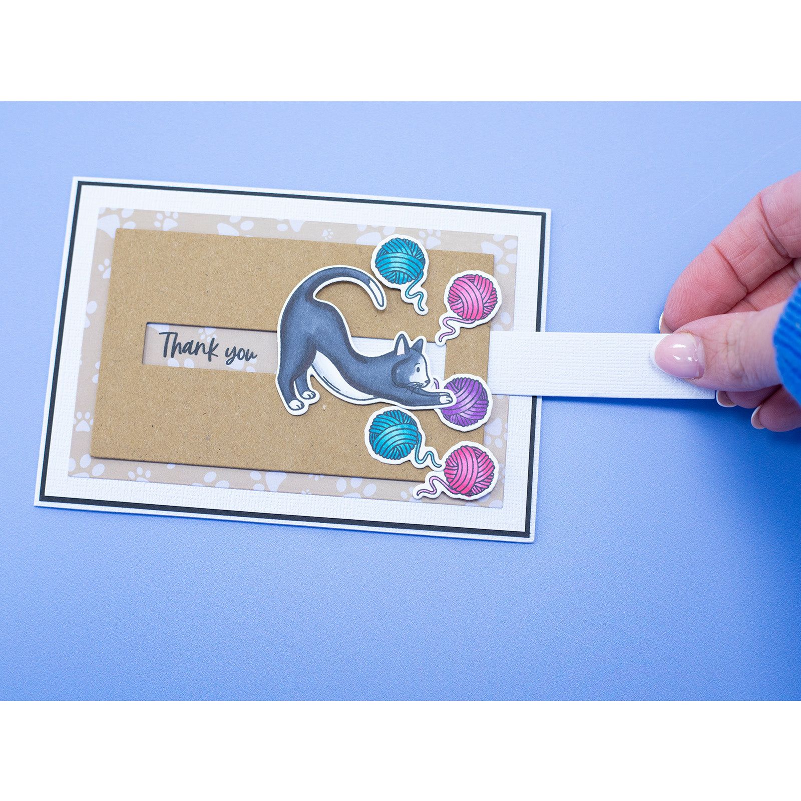 Crafter's Companion Motion Friends Slider Clear Stamps And Metal Dies cc-std-mofr Feline Thank You Card