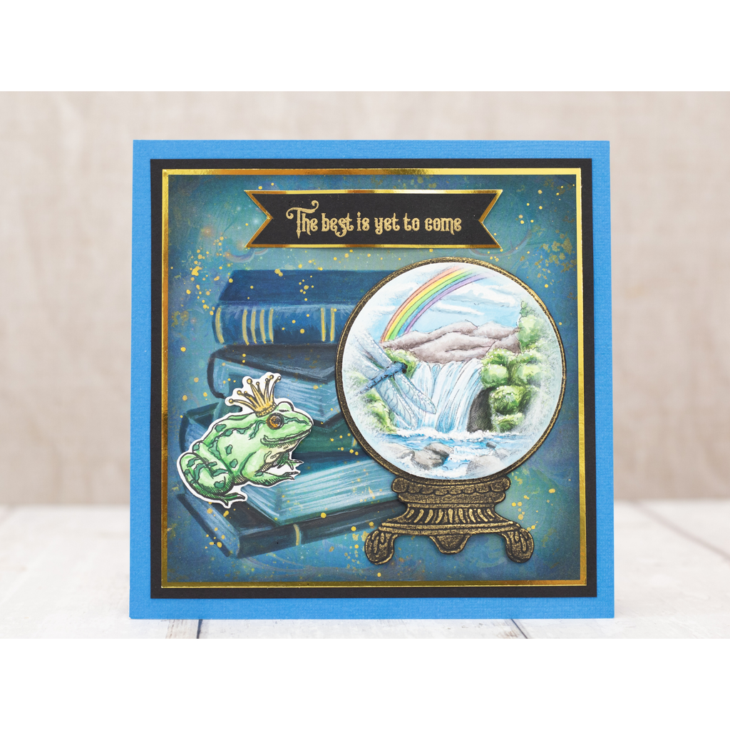 Crafter's Companion Peaceful Visions Clear Stamps sd-cv-stp-pevi Frog Prince Card