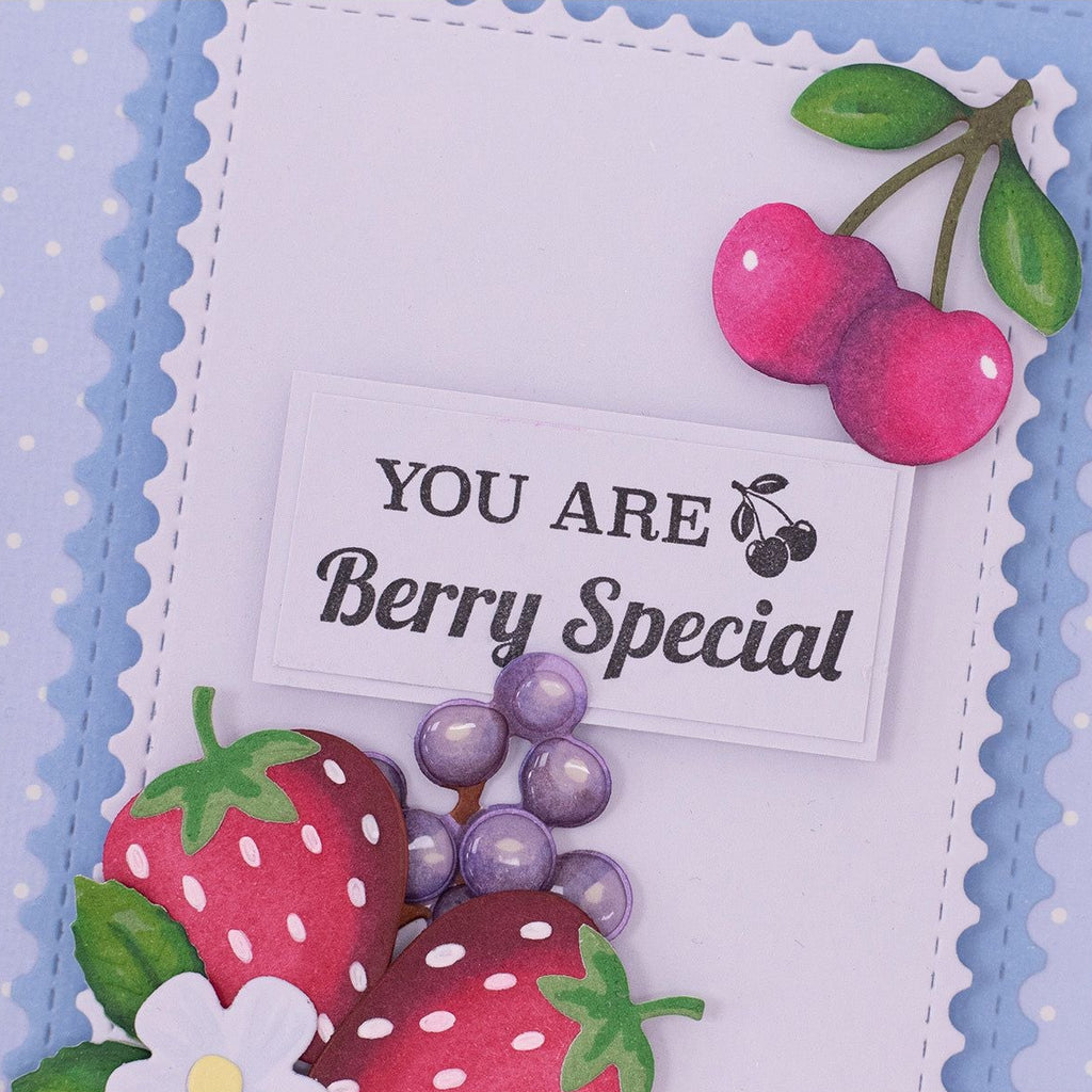 Crafter's Companion Sweet Wishes Clear Stamps ng-bb-stp-swwi You Are Berry Special Card