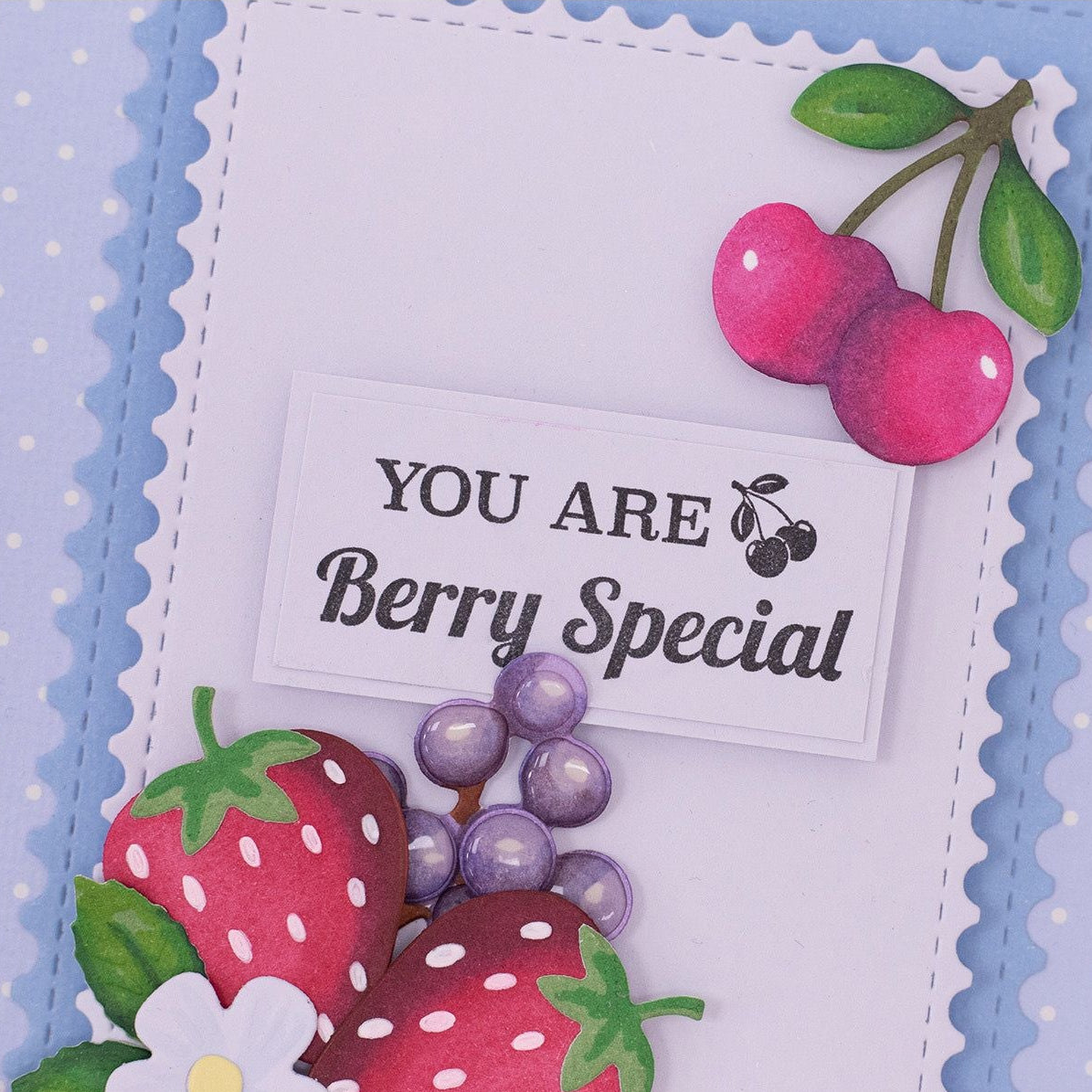 Crafter's Companion Sweet Wishes Clear Stamps ng-bb-stp-swwi You Are Berry Special Card
