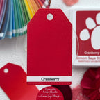 Simon Says Stamp Pawsitively Saturated Ink and Re-inker Set Cranberry ink93set | color-code:ALT03