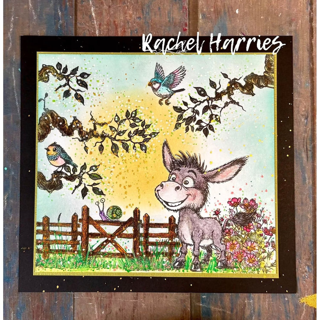 Creative Ember Designs Go Kick A6 Clear Stamp Set cedtp0014 rachel harris donkey field bird flower card