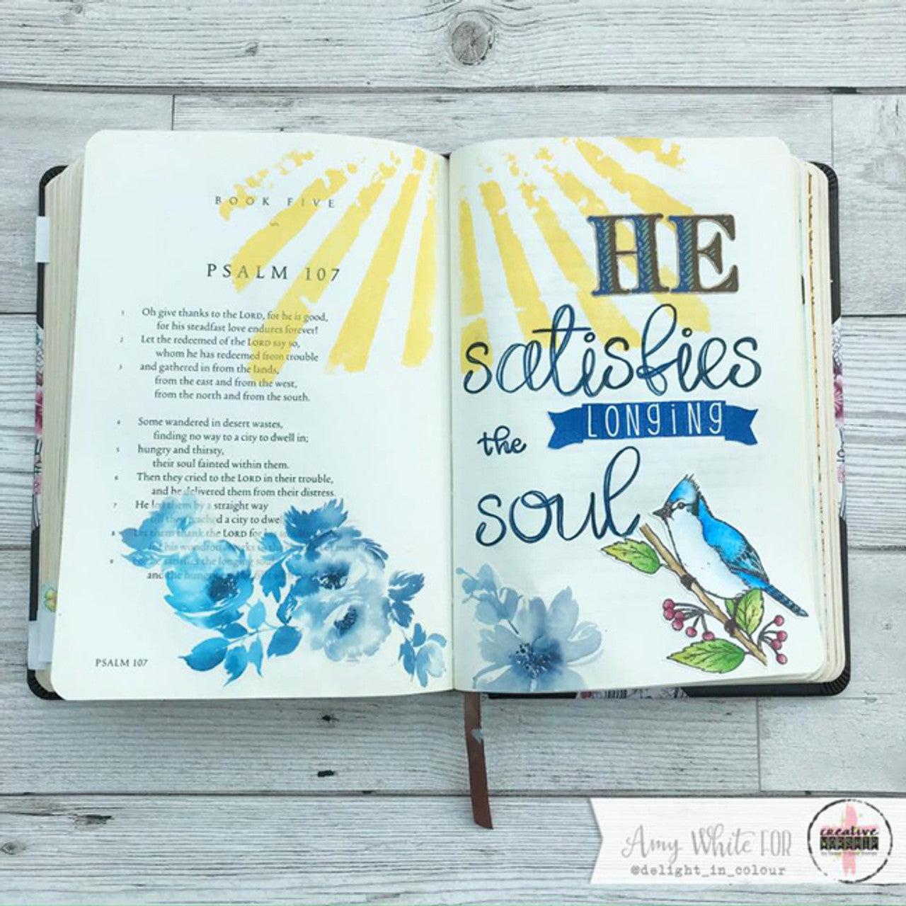Creative Worship Beautiful Birds Clear Stamps sns-20-008 Bible Journaling