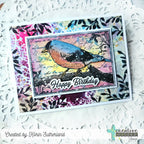 Creative Worship Finch Collage Clear Stamp cws-26-008 Korin Sutherland Happy Birthday Bird Card