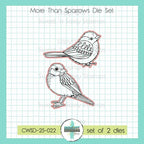 Creative Worship More Than Sparrows Dies cwsd-25-022