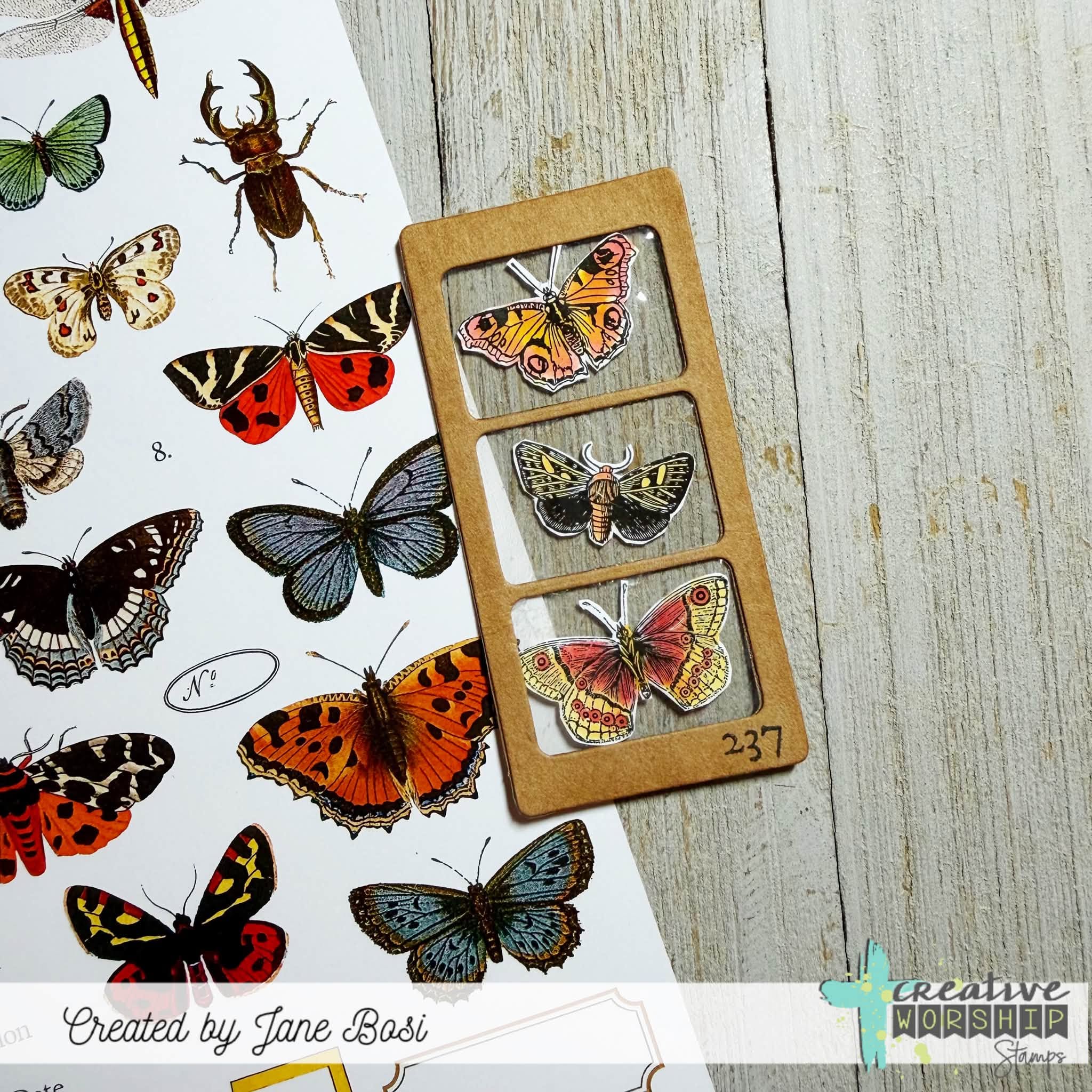 Creative Worship Specimen Slides Dies cwsd-26-025 Butterfly Images