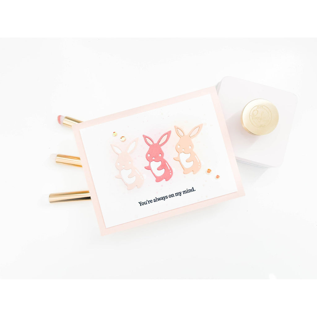 Simon Says Stamp Cuddly Bunny Wafer Dies s1000 Rain or Shine Thinking of You Card