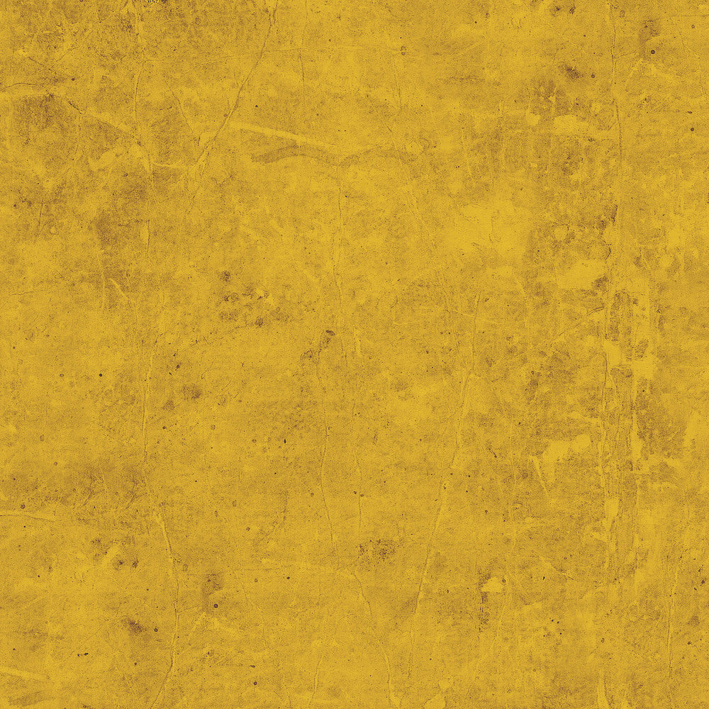 Tim Holtz Fabric By The Yard Timeworn Story 1 Fossilized Cotton Duck Cloth dcth006