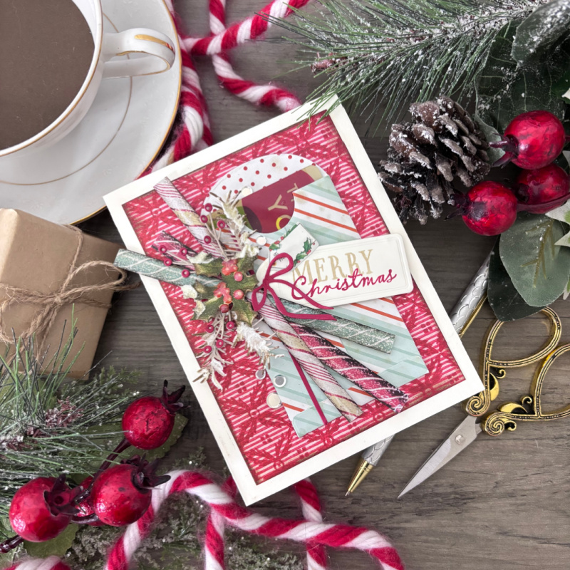 Simon Says Stamp Card Kit of the Month December 2025 Bright Christmas ck1225 Christmas Card | color-code:ALT20