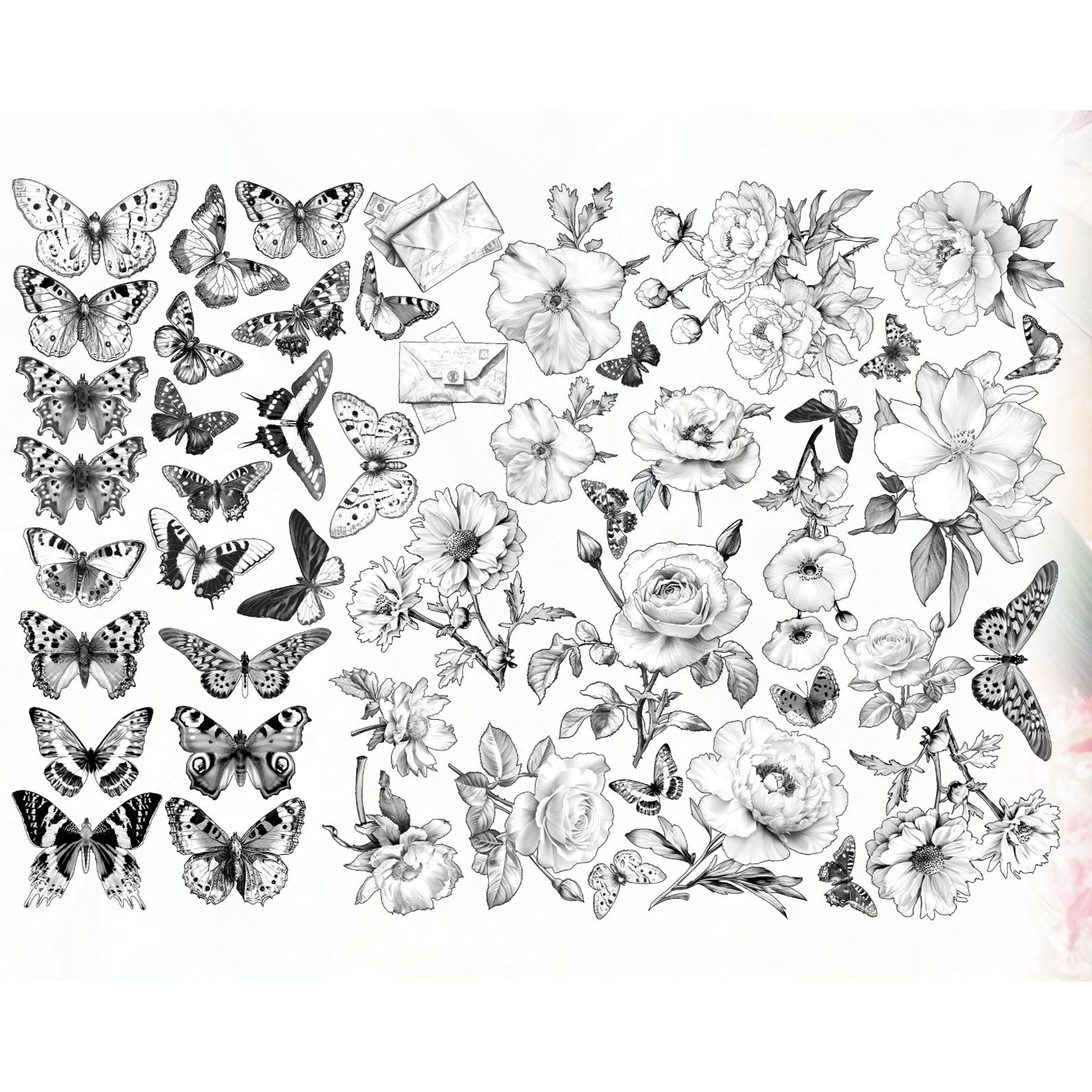 AALL & Create Gravel Script Ephemera Die Cuts ep-93