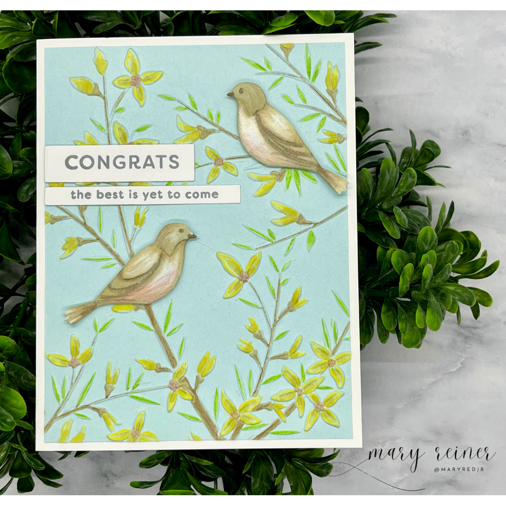 Simon Says Stamps and Dies EZ Strips Congratulations set991ez Moments in Time Congrats Card