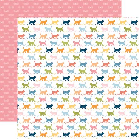 Echo Park Cat Lover 12 x 12 Collection Kit cl506016 Colorful Feline Images