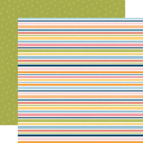 Echo Park Cat Lover 12 x 12 Collection Kit cl506016 Colorful Stripes