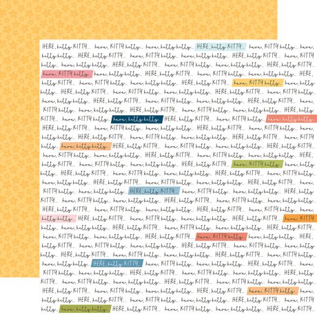 Echo Park Cat Lover 12 x 12 Collection Kit cl506016 Kitty Sentiments