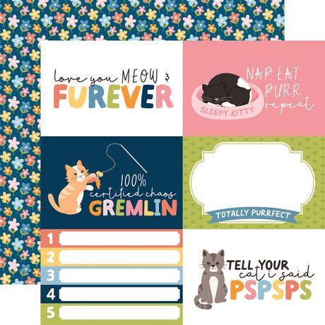 Echo Park Cat Lover 12 x 12 Collection Kit cl506016 Love You Meow And Forever
