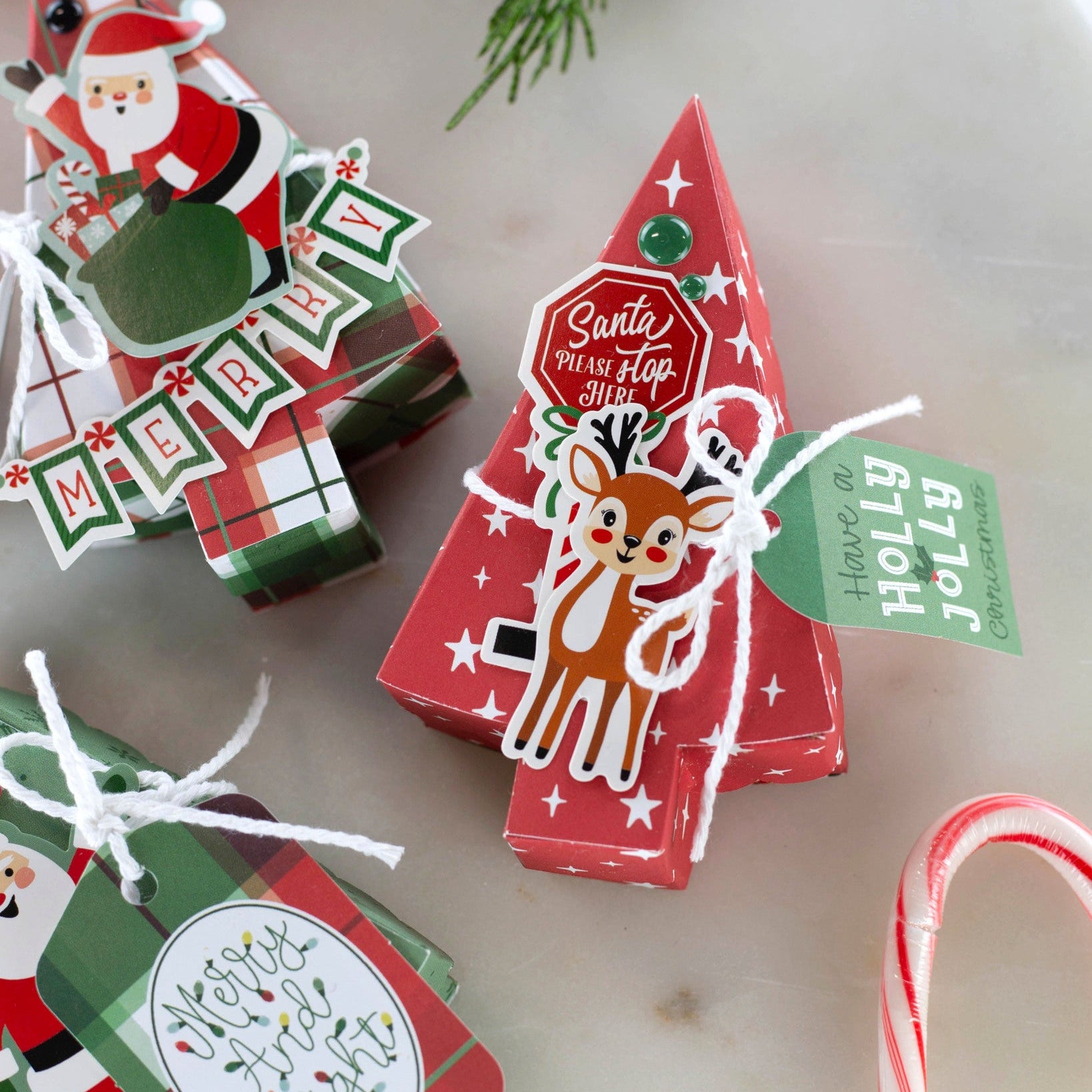 Echo Park Christmas Express Frame And Tags sce455025 Holiday Project