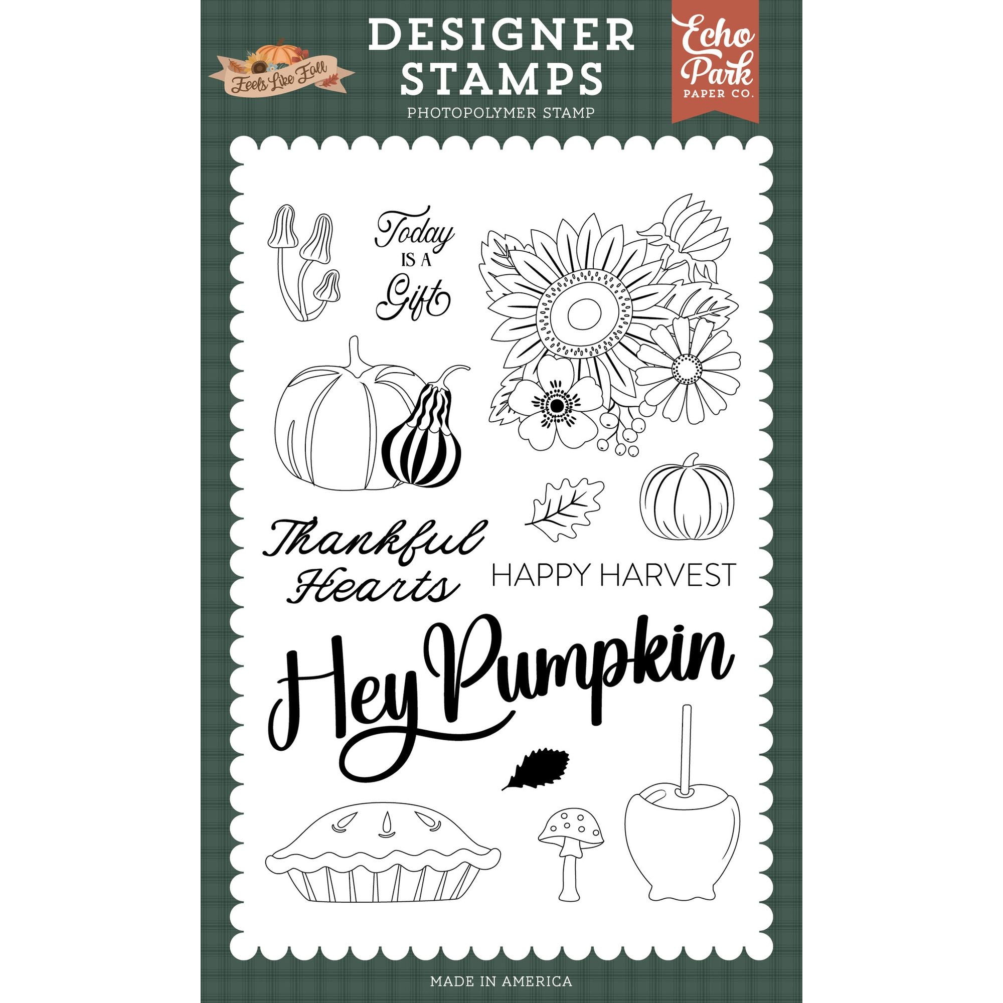 Echo Park Hey Pumpkin Clear Stamps flf514045