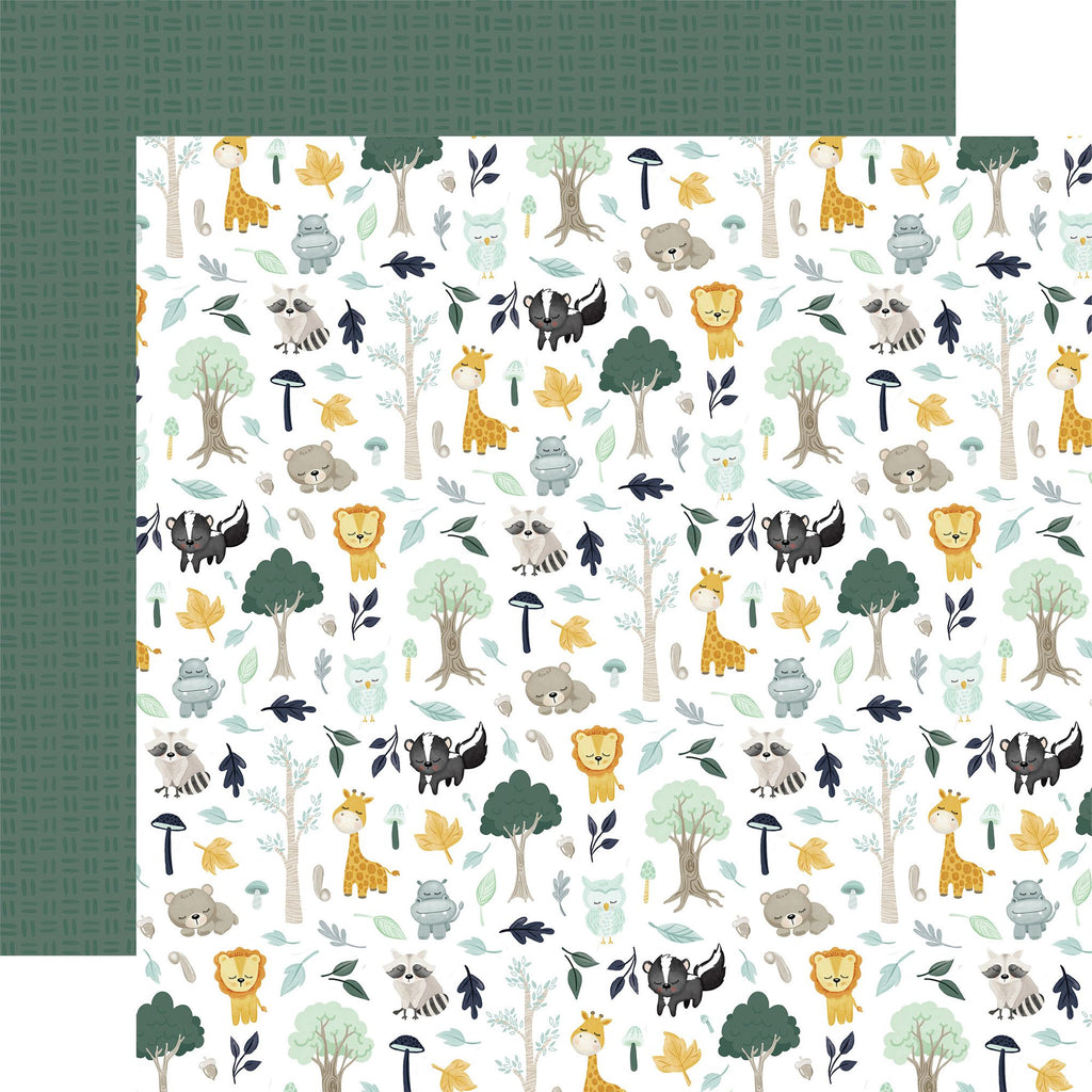 Echo Park It's A Boy 12 x 12 Collection Kit iab278016 Woodland