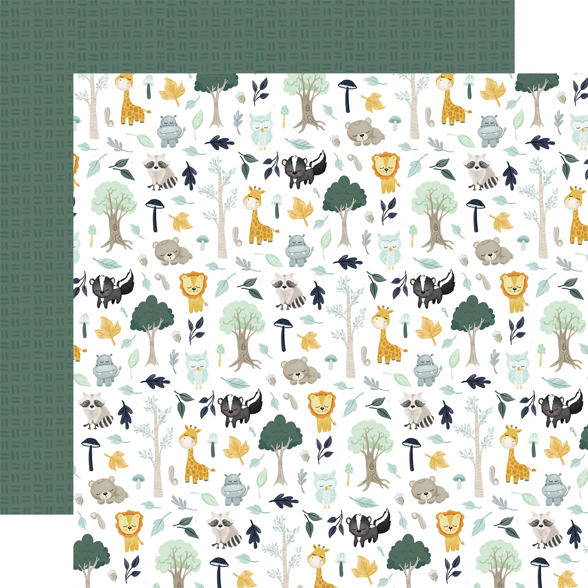 Echo Park It's A Boy 12 x 12 Collection Kit iab278016 Woodland
