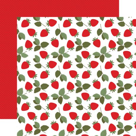 Echo Park Strawberry Fields 12 x 12 Collection Kit sf503016