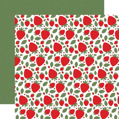Echo Park Strawberry Fields 12 x 12 Collection Kit sf503016 Summer Fruit