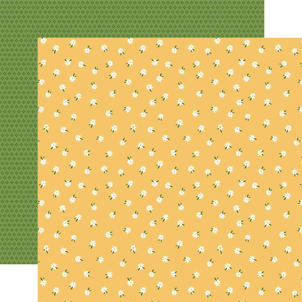 Echo Park Winnie The Pooh Baby 12 x 12 Collection Kit wpb442016 Oh Baby Daisies