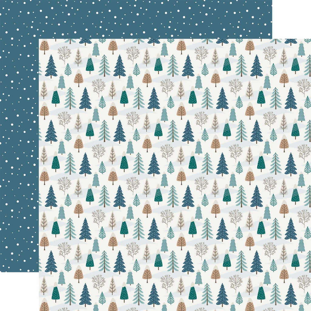 Echo Park Wonderful Winter Days 12 x 12 Collection Kit wwd539016 Snow Landscape