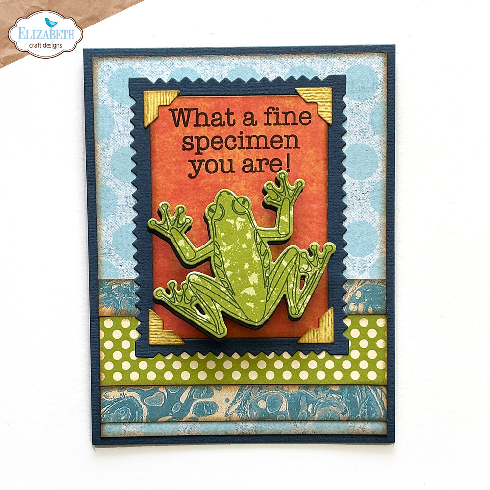 Elizabeth Craft Designs Beetles and Bugs Stamp and Die Set csd402 frog