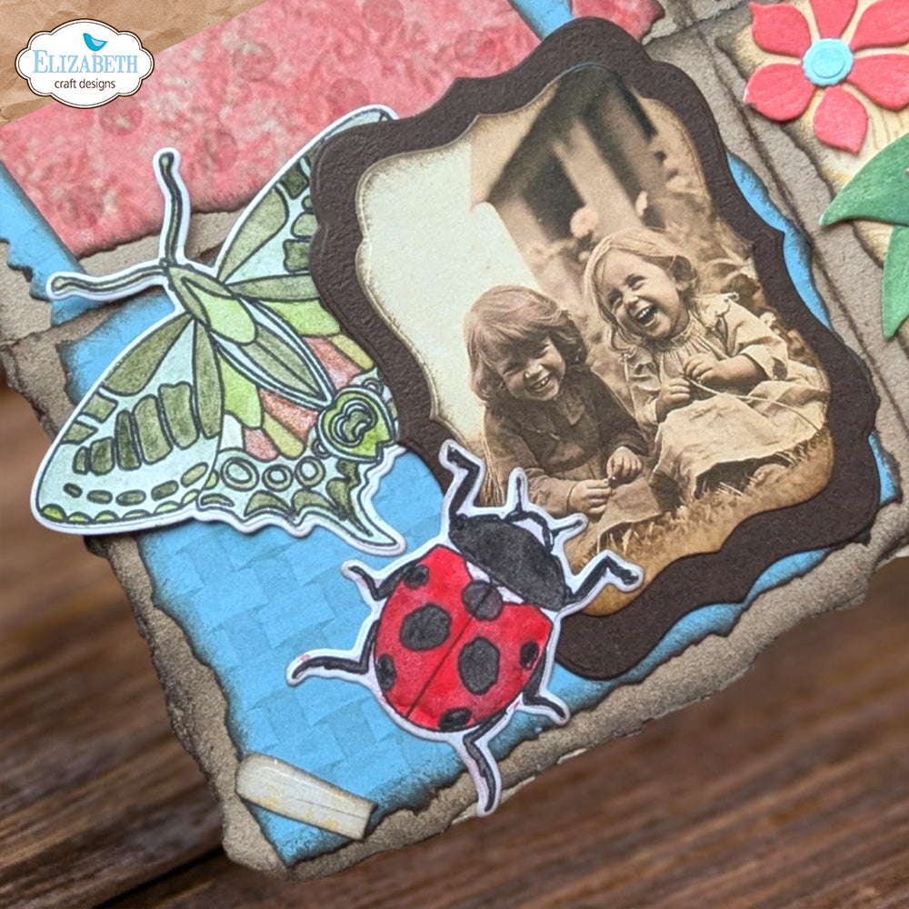 Elizabeth Craft Designs Beetles and Bugs Stamp and Die Set csd402 ladybug