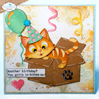 Elizabeth Craft Designs Cats Die and Stamp Bundle orange cat in box balloons streamers card