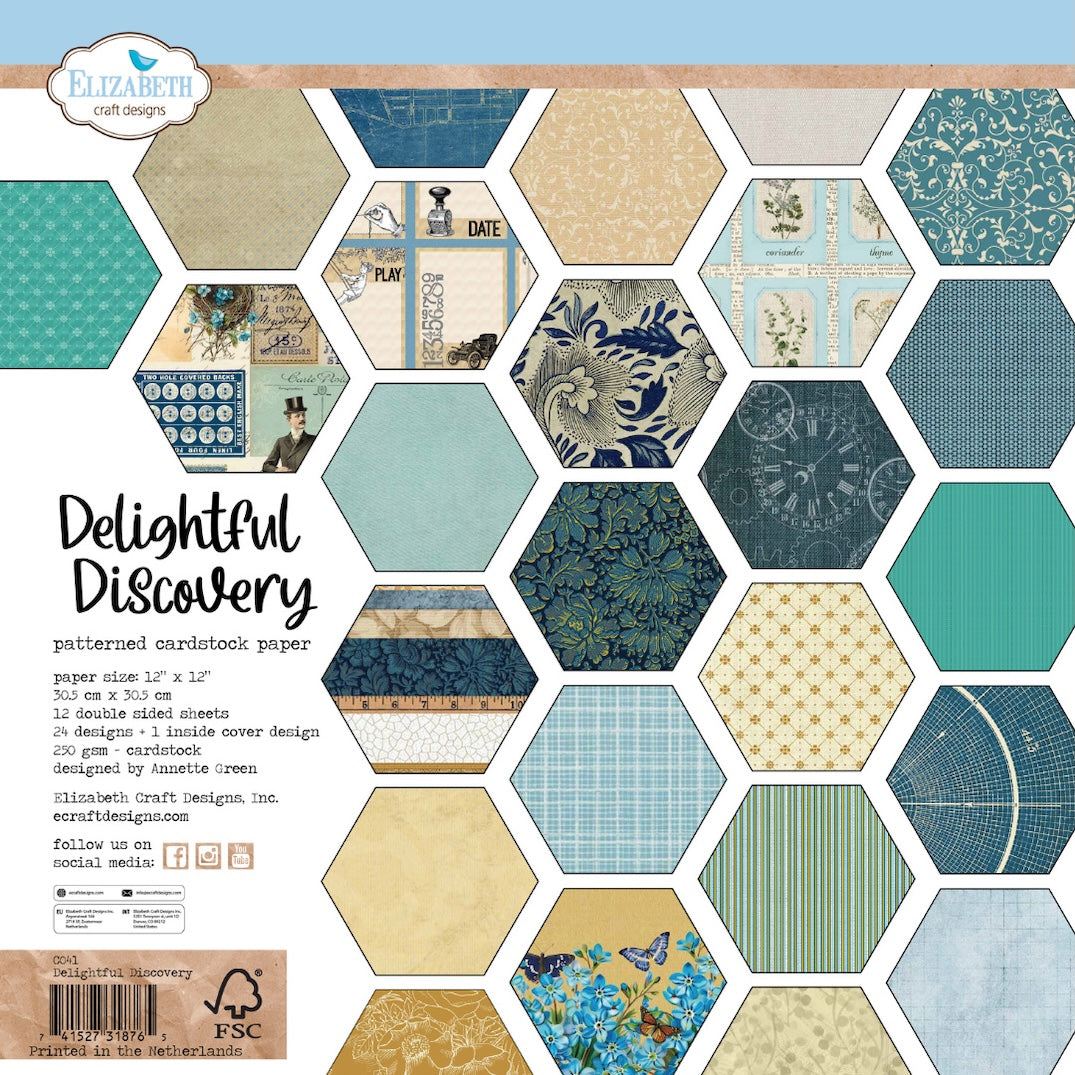 Elizabeth Craft Designs Delightful Discovery 12x12 Paper c041