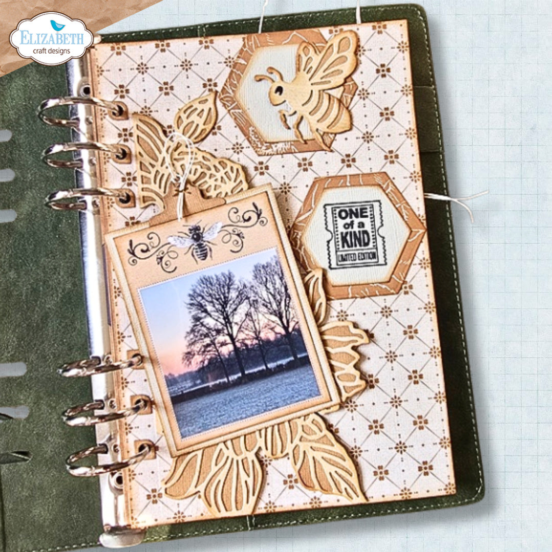 Elizabeth Craft Designs Delightful Discovery 12x12 Paper c041 one of a kind
