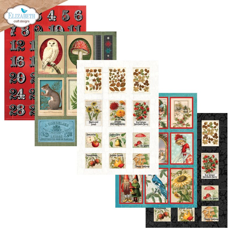 Elizabeth Craft Designs Everyday Ephemera 3 ps05 leaves