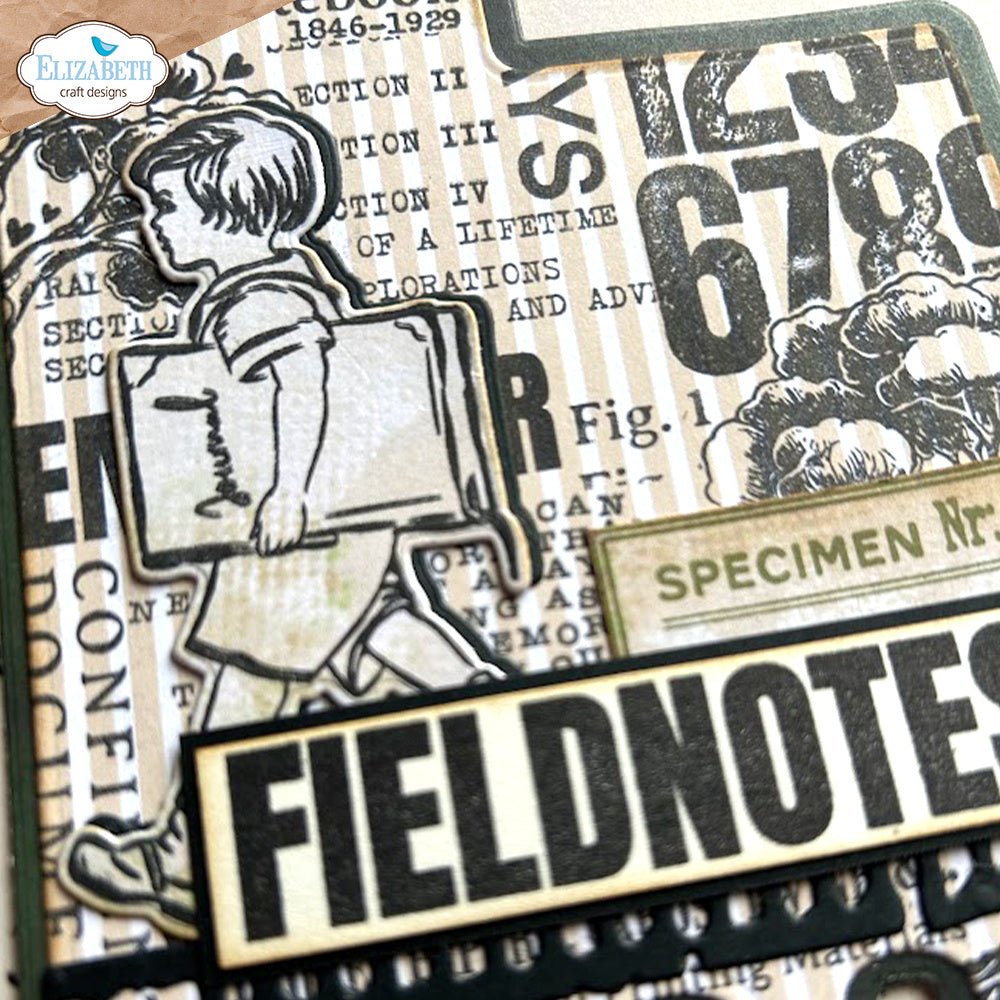 Elizabeth Craft Designs Field Notes Stamp and Die Set csd394 specimen