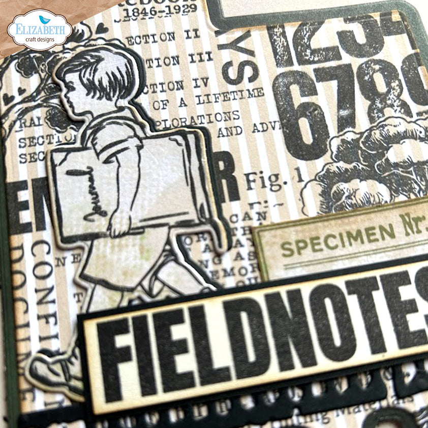 Elizabeth Craft Designs Field Notes Stamp and Die Set csd394 – Simon ...