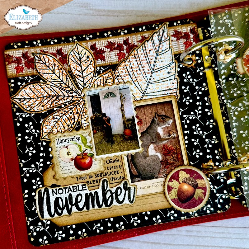 Elizabeth Craft Designs Seasonal Words and Leaves Stamp and Die Set csd465 squirrel leaves apple acorn notable november card