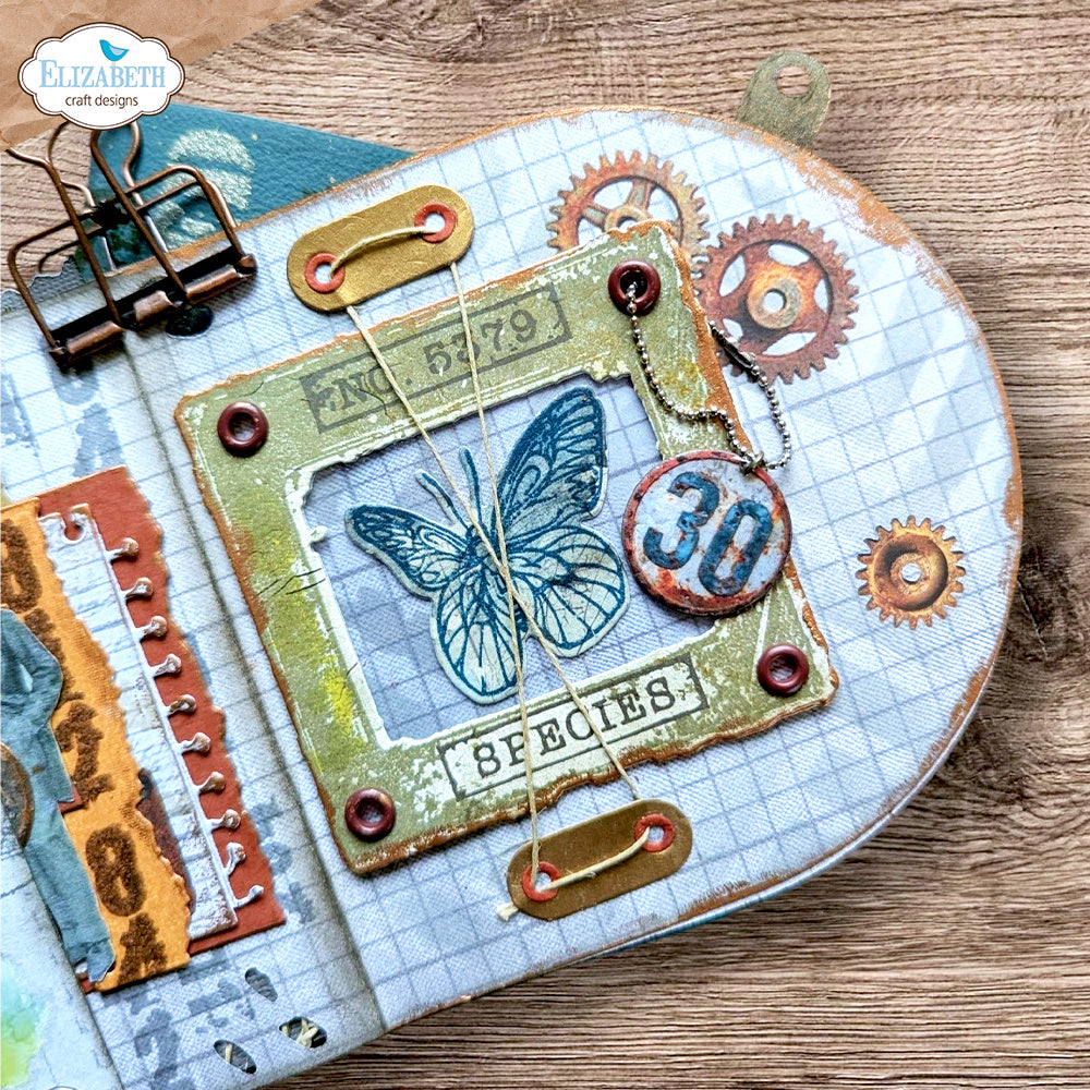 Elizabeth Craft Designs Where Wings Wander Stamp and Die Set csd456 butterfly gears string species card