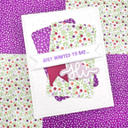 Emily Moore Designs Just Wanted To Say Clear Stamp Set stp-jws-01 hi