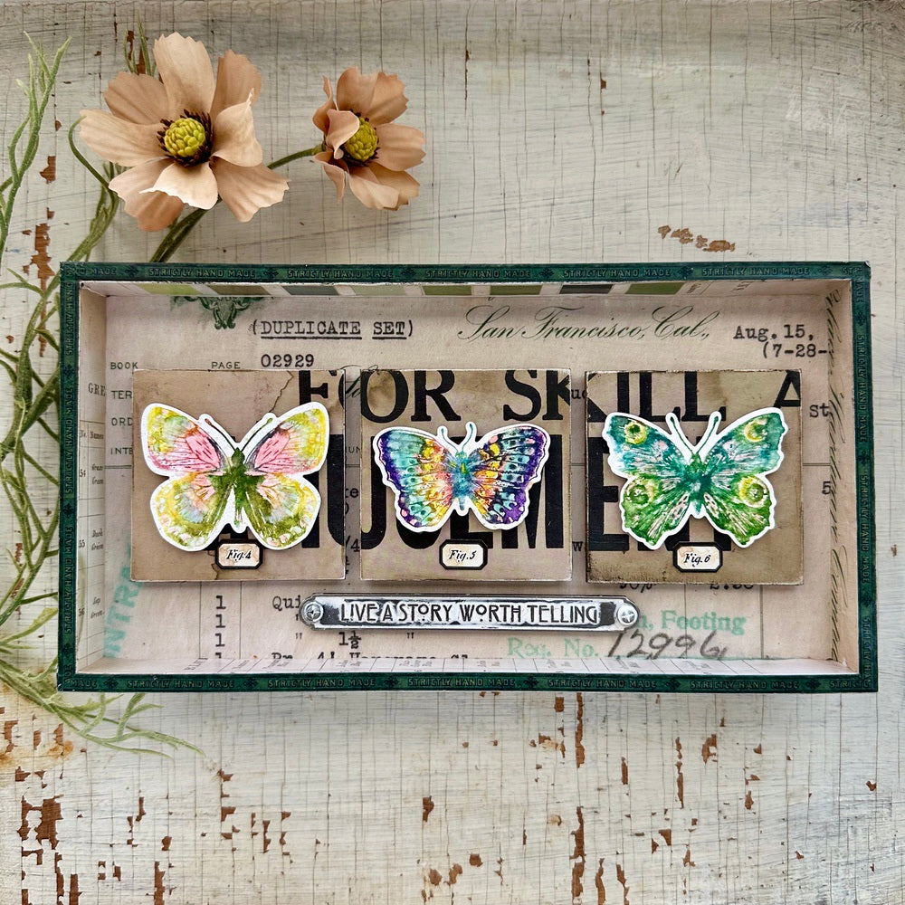 Tim Holtz Flutter Stamps with Simon Says Stamp Dies Bundle setfl25 Vignette Box