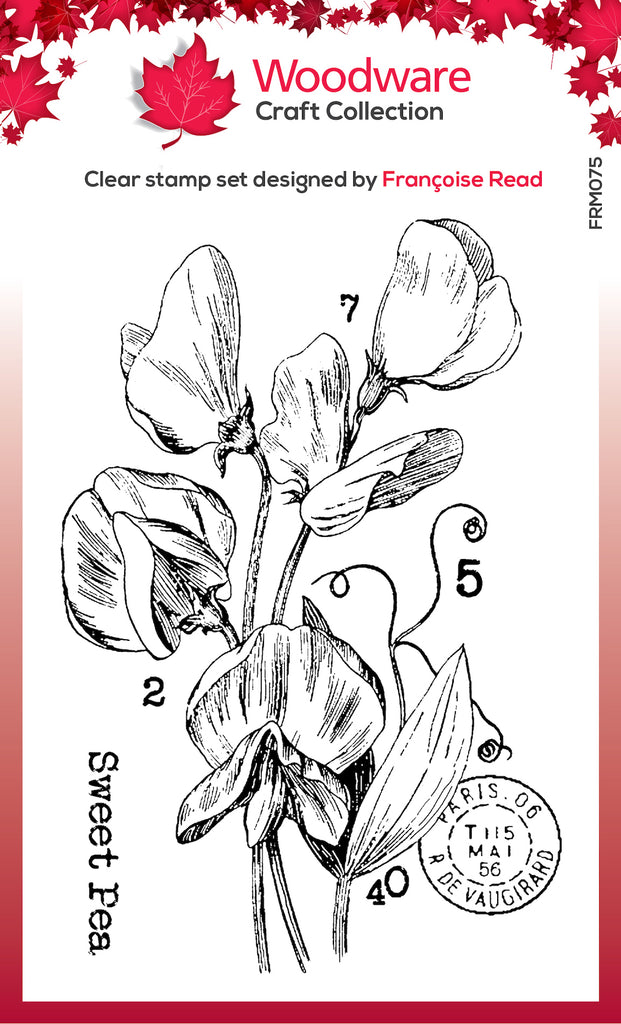 Woodware Craft Collection Sweet Pea Clear Stamps frm075