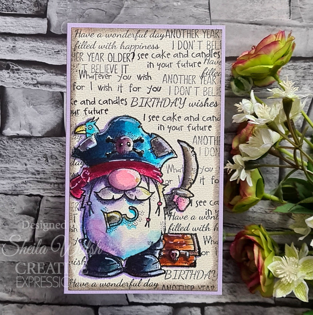 Woodware Craft Collection Pirate Gnome Clear Stamps frs1030 birthday