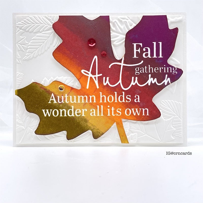 Simon Says Stamp Embossing Folder Falling Leaves sf341 Season Of Wonder Autumn Card