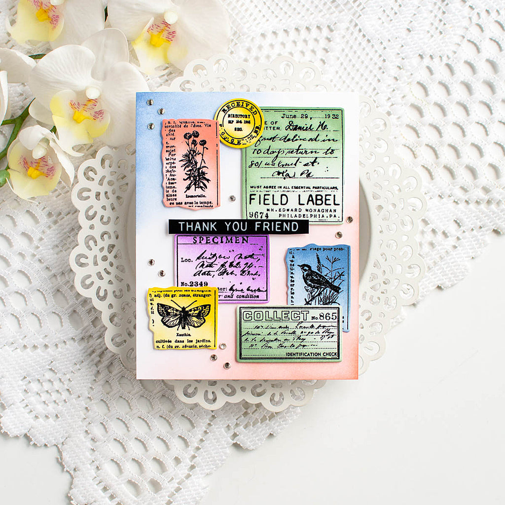 Tim Holtz Field Notes Stamps with Simon Says Stamp Dies Bundle setfn26 Friend Card | color-code:ALT13