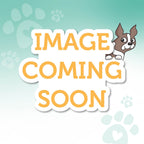 Simon Says Stamp Card Kit of the Month 2026 Subscription! August Start Date