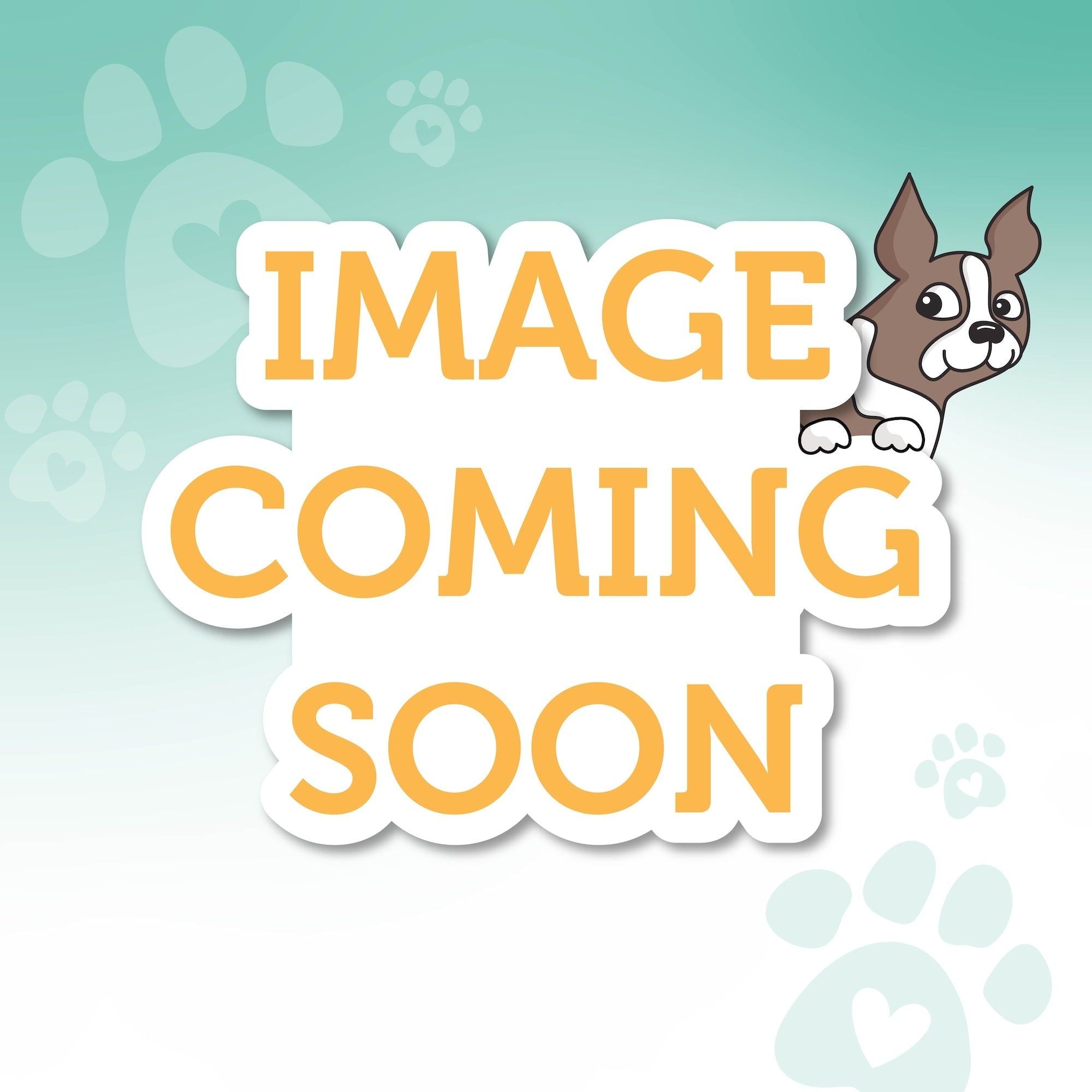Simon Says Stamp Card Kit of the Month 2026 Subscription! August Start Date
