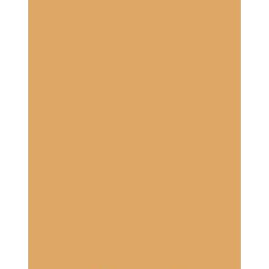Gina K Designs Butterscotch Premium 100 lb Cardstock plbusc