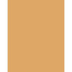 Gina K Designs Butterscotch Premium 100 lb Cardstock plbusc